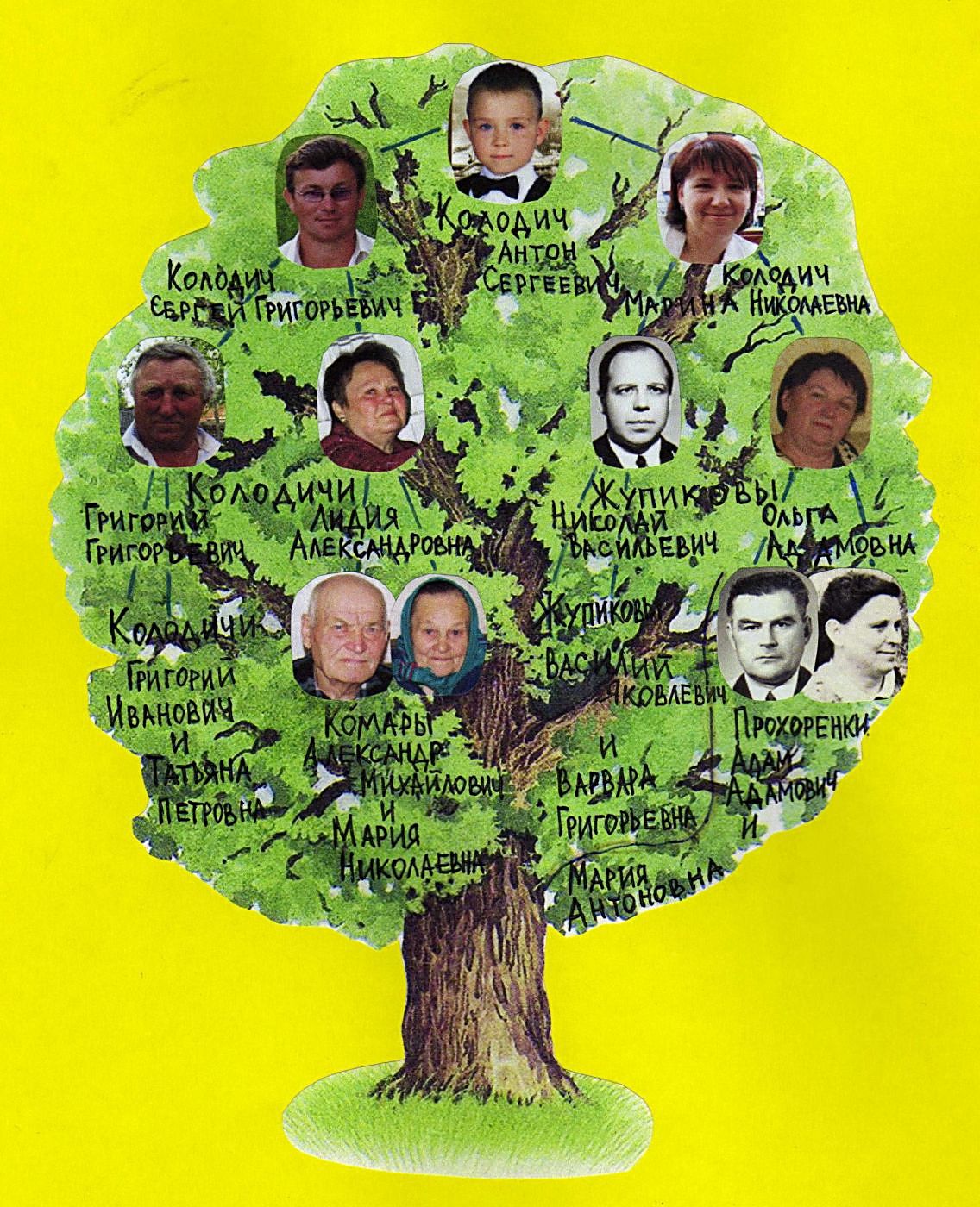 Генеалогическое дерево окружающий 2. Проект родословная. Генеалогическое дерево. Проект моя родословная. Родословная окружающий мир.